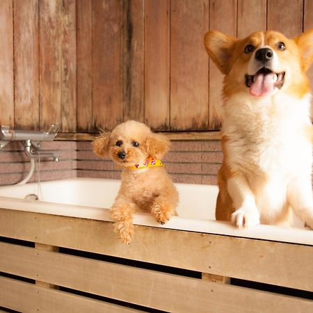 Izumigo Takayama Dog Paradise Hotel Bagian luar foto