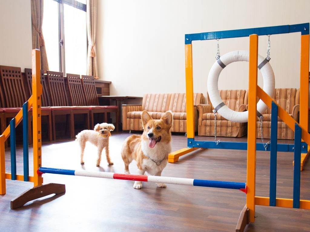 Izumigo Takayama Dog Paradise Hotel Bagian luar foto