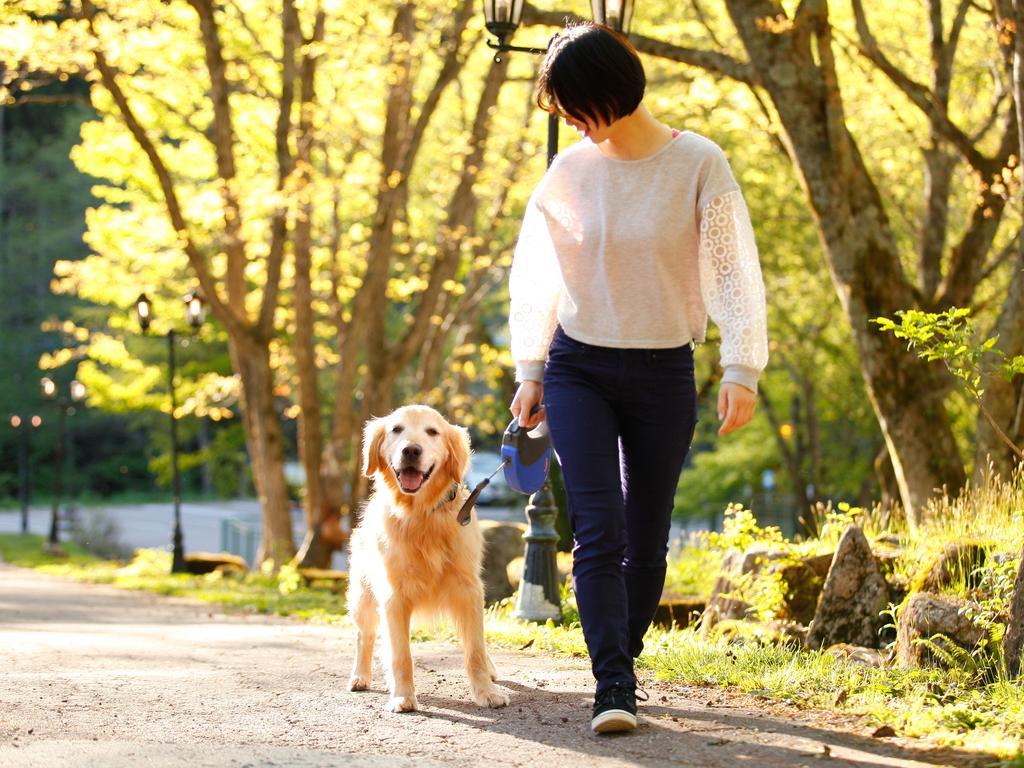 Izumigo Takayama Dog Paradise Hotel Bagian luar foto