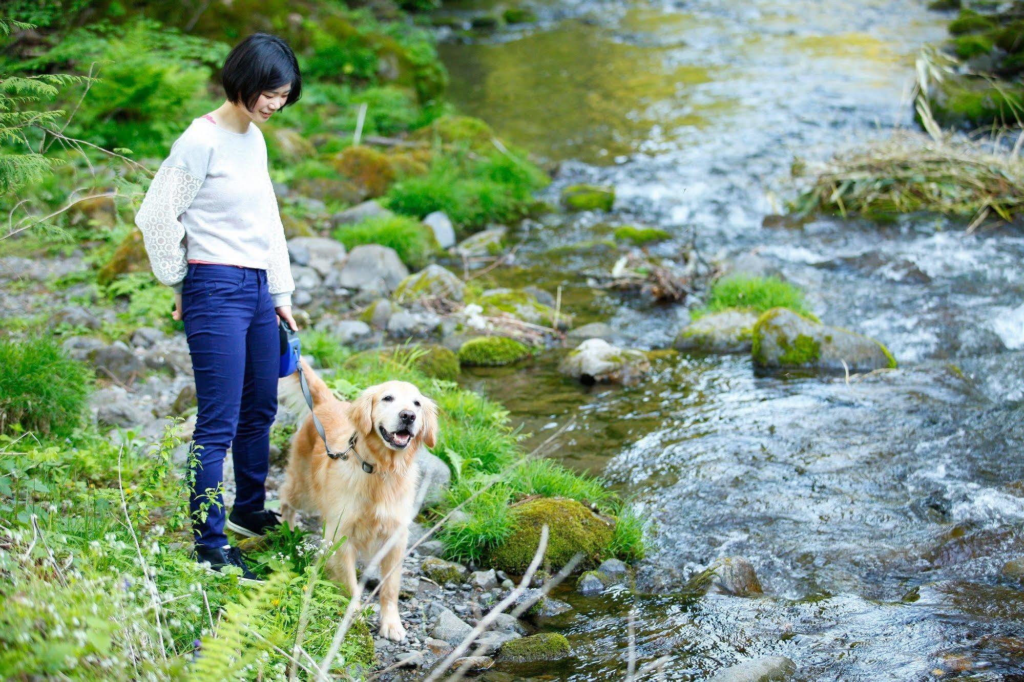 Izumigo Takayama Dog Paradise Hotel Bagian luar foto