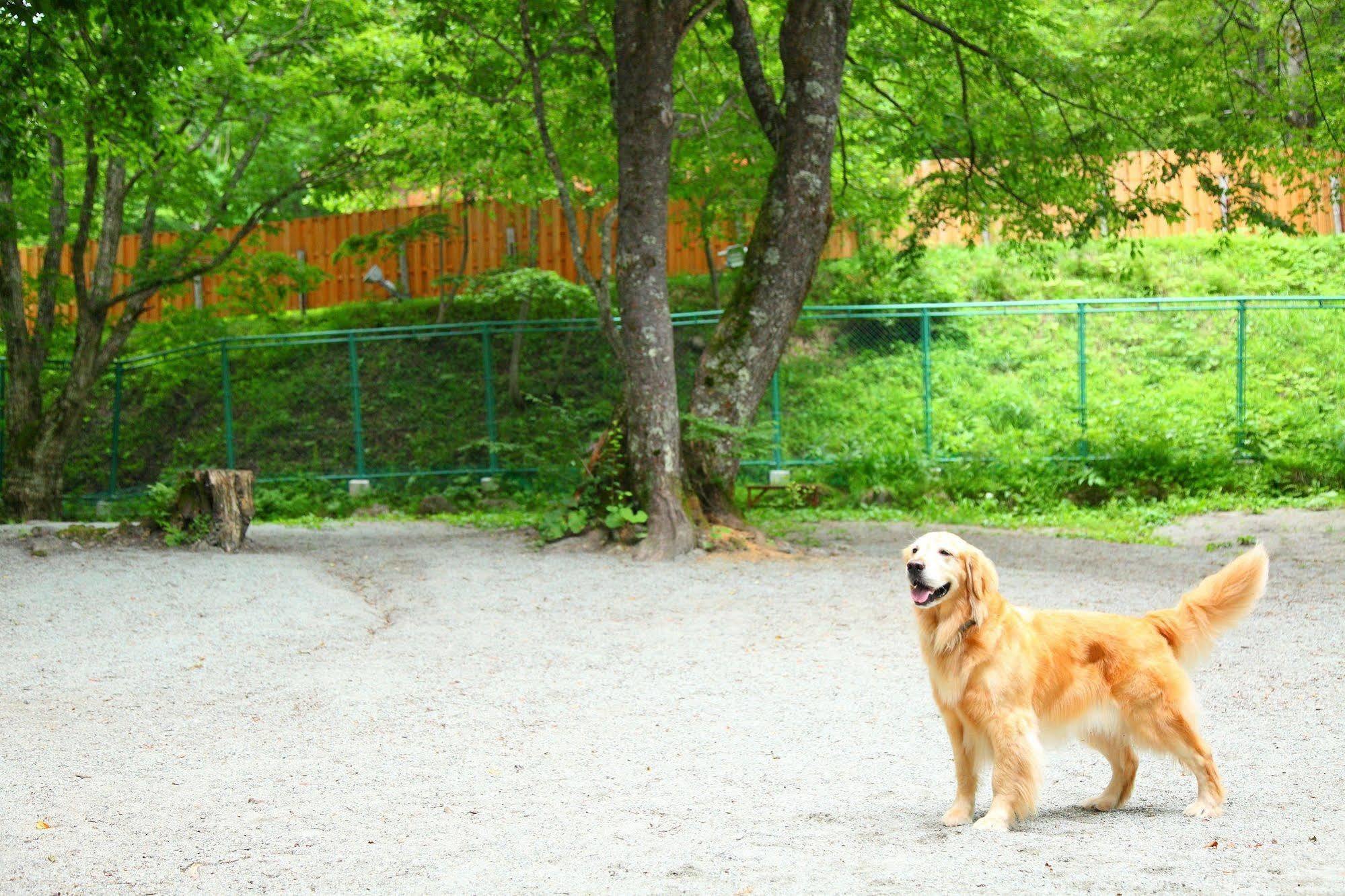 Izumigo Takayama Dog Paradise Hotel Bagian luar foto